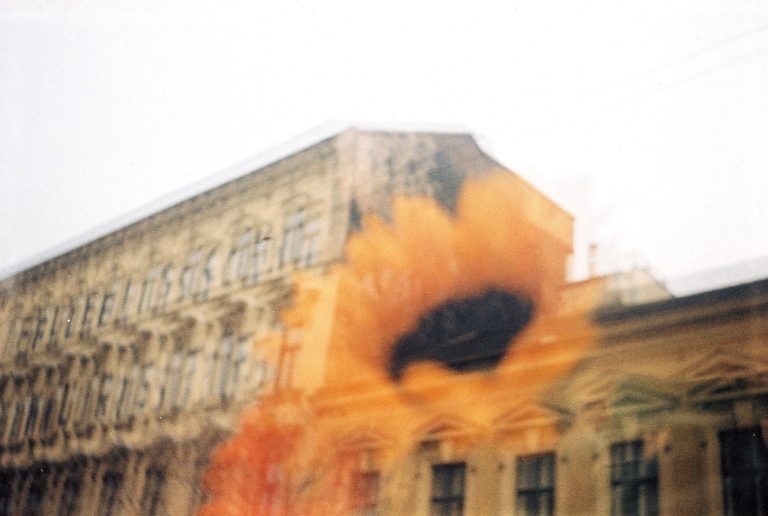 orangene Blume, die vor einenm Haus zu sehen ist.