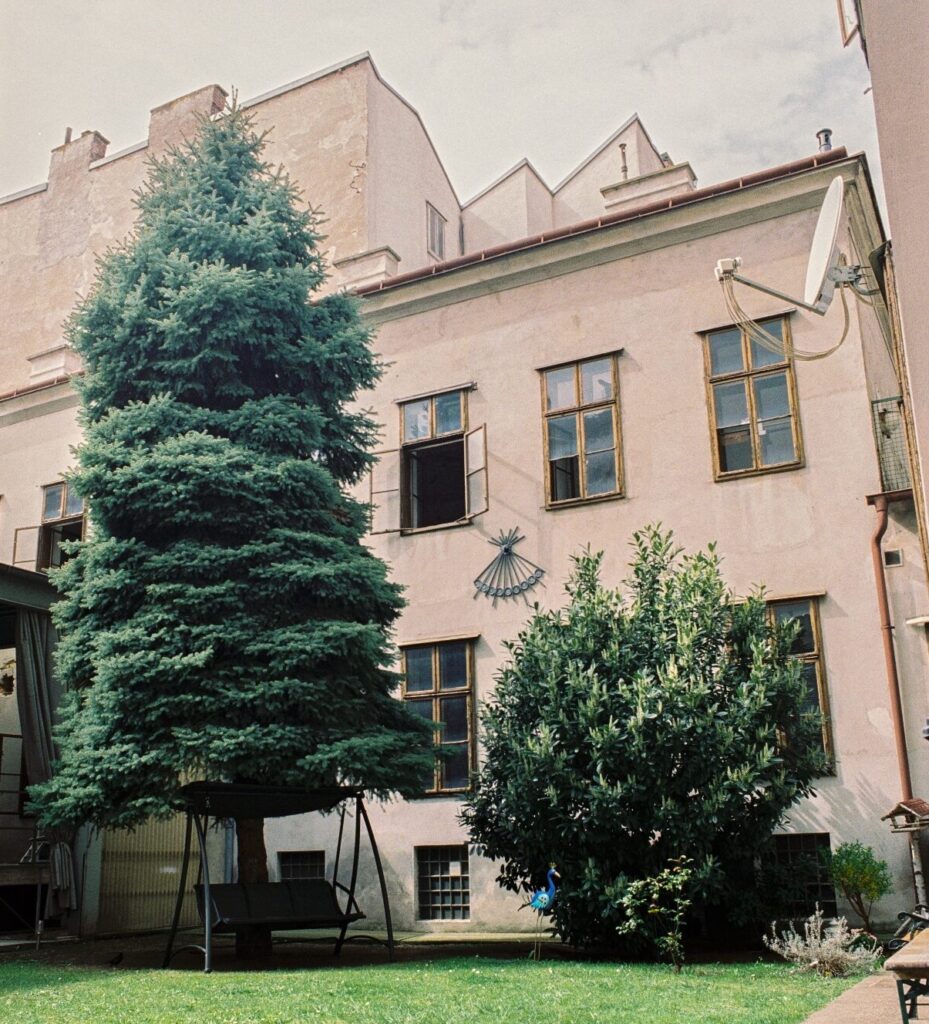 Foto: Blick auf ein renovierungsbedürftiges Haus, mit grünem Innenhof.